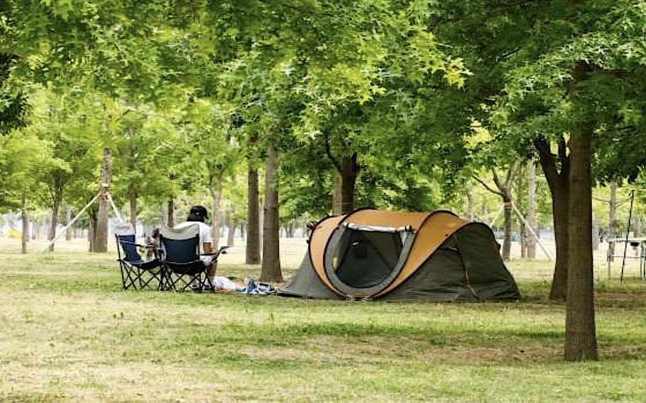 Family enjoy themselves with a tent in a park.