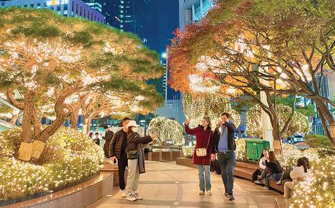 Photo Of people taking photos of illuminated trees.