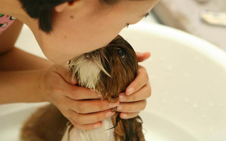 A lady is kissing a puppy.