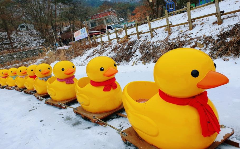 there are some duck-shaped snow sleds.