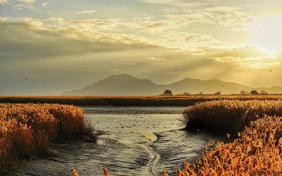 Suncheonman Bay Nature Reserve