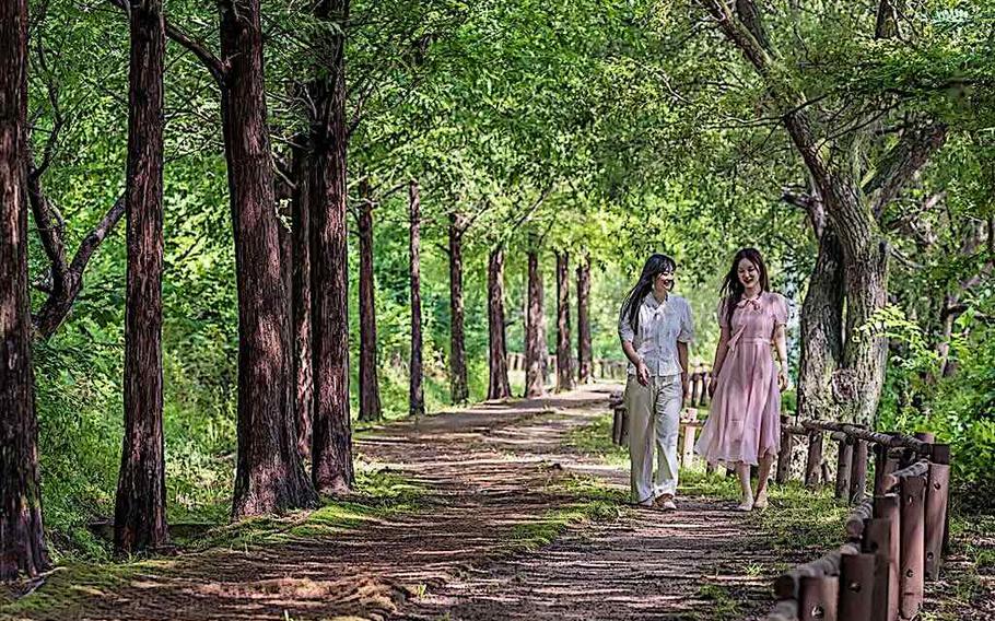 Two women enjoy walking on the trail.