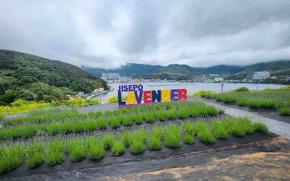 Jisepojinseong Flower Garden