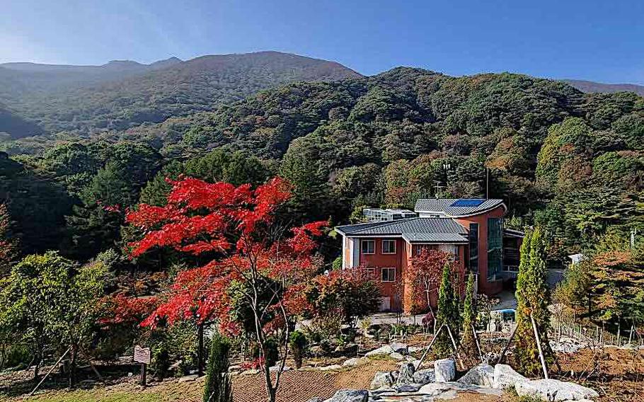 A building in a forest.