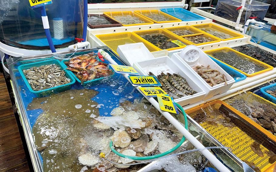 varieties of fish and shellfish are sold on the market.