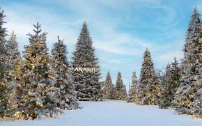 Many snow-covered Christmas trees are in the photo.