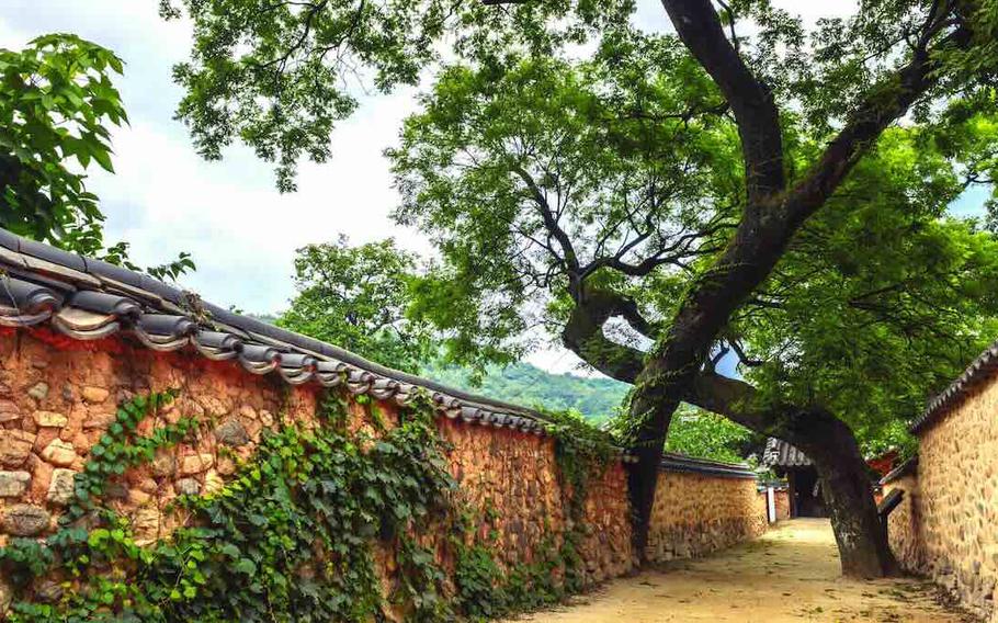 Two pine trees and stone fences can be seen.