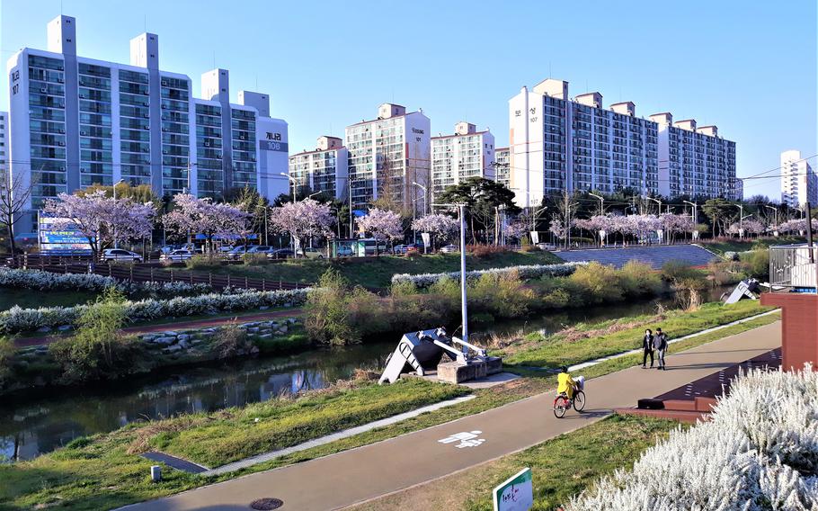 The river is lined with cherry trees on one of the sides.