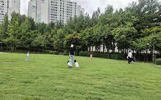 Kids are enjyoing in the park.