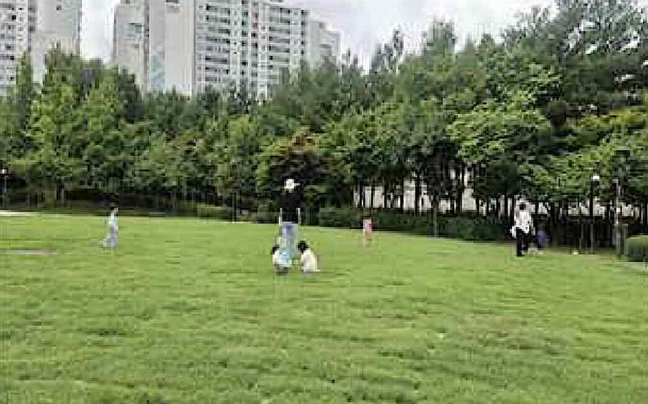 Kids are enjyoing in the park.