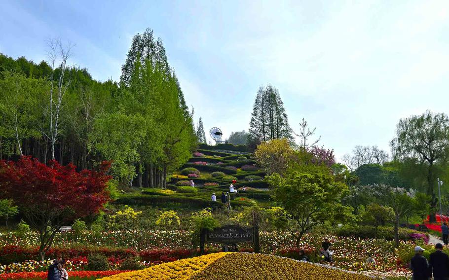 botanical garden