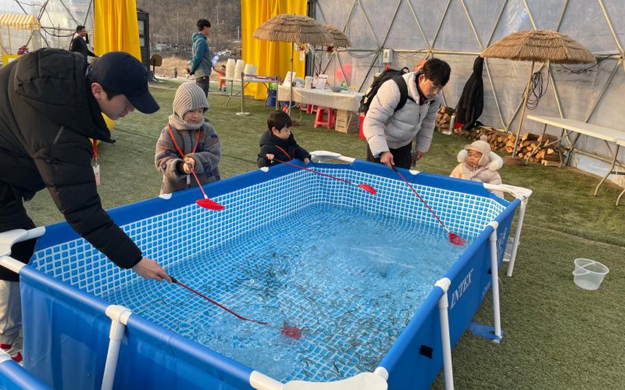 people trying to catch fish with small nets.