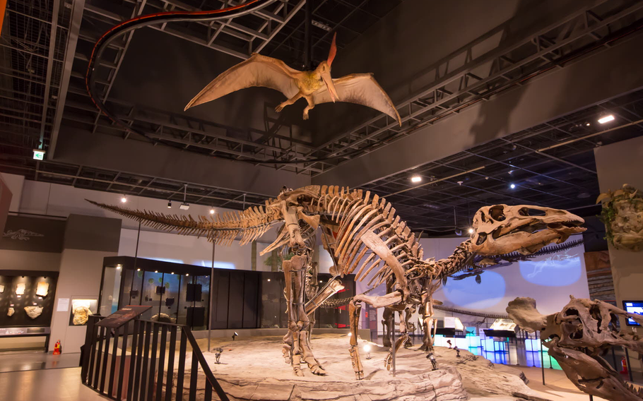 dinosuar fossils are exhibited.