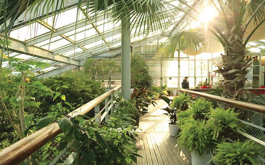 Greenhouse plants can be seen.