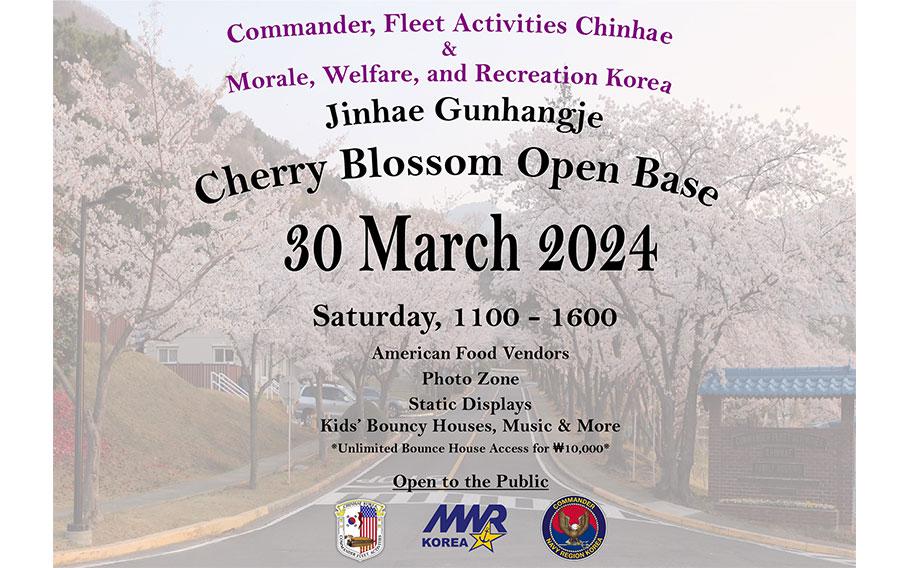 Chinhae to cherry blossom festival March 30