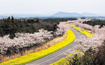 Noksandro Road