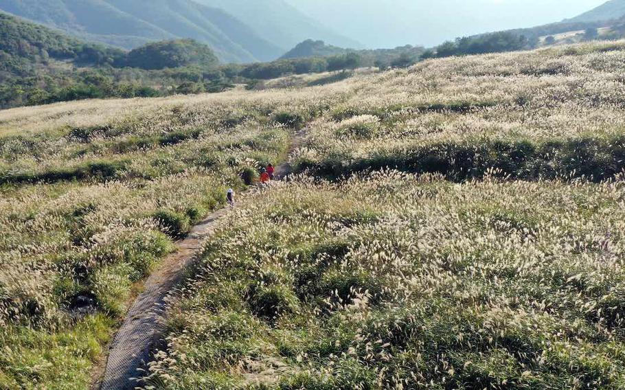 Three hikers are walking on a trail.