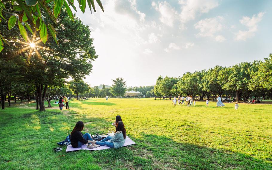 Visitors are enjoying themselves on the lawn in the park.