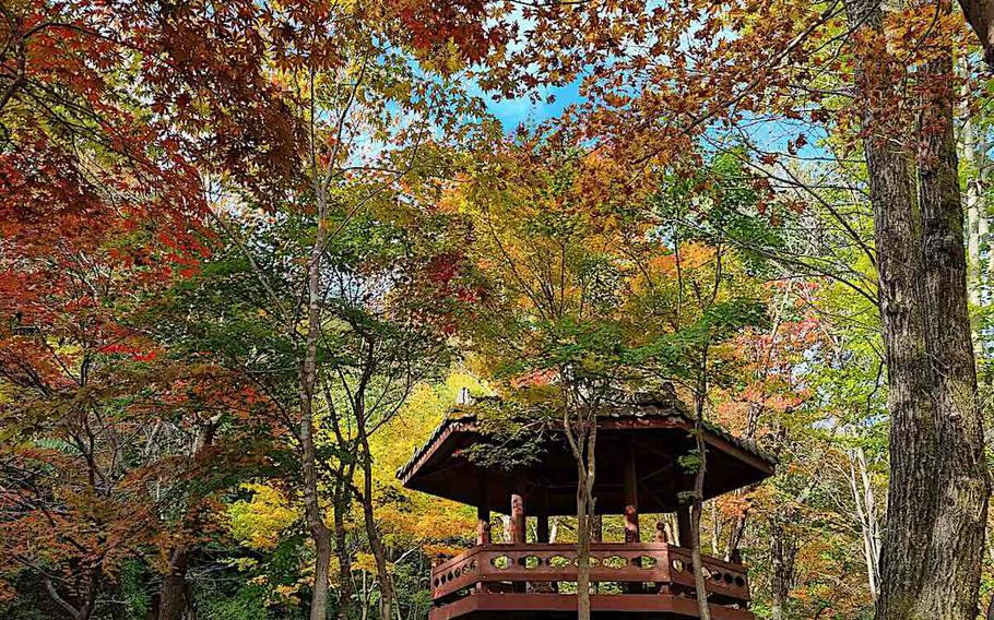 A cottage in forests.