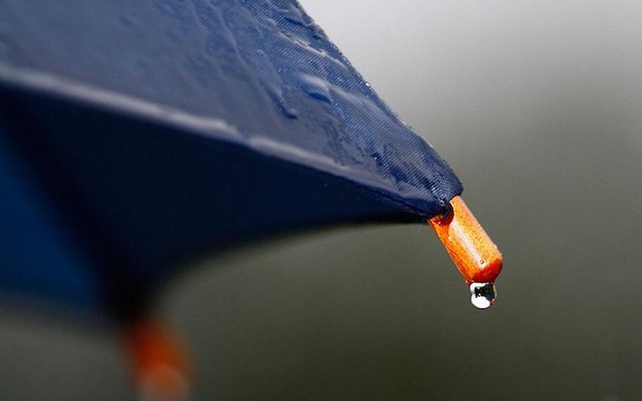 A full close-up photo of an umbrella.