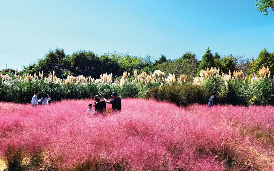 Visitors enjoying plants.