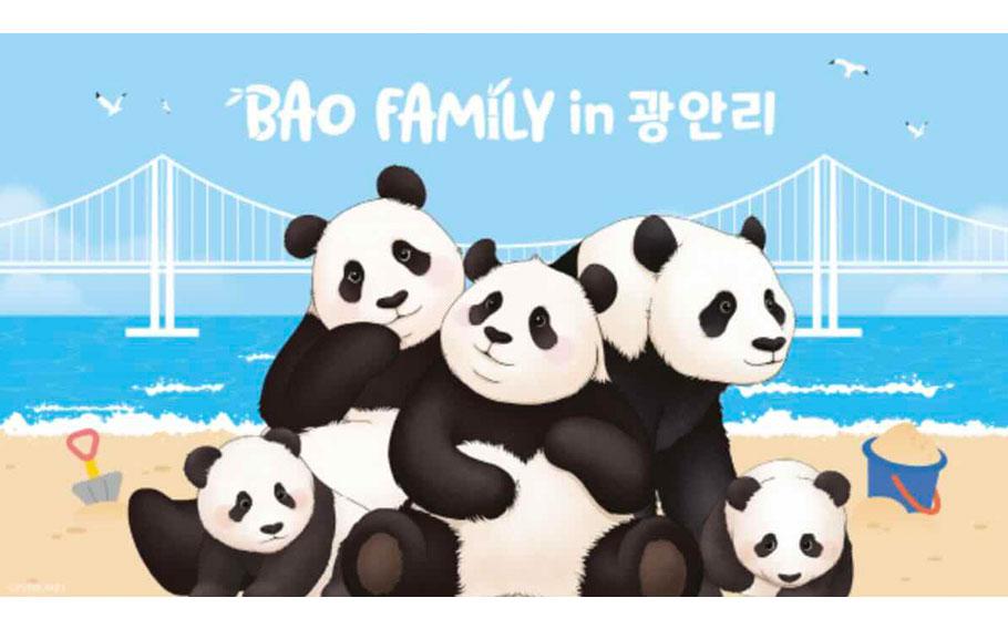 Panda Fu Bao Family Character Zone to Debut at Gwangalli Beach