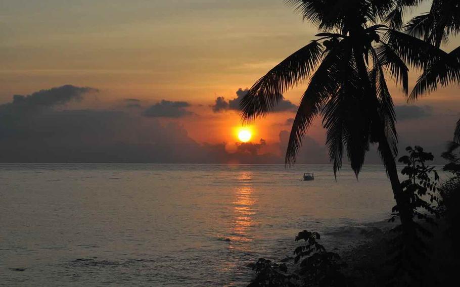 The beach with a palm tree in Bali.