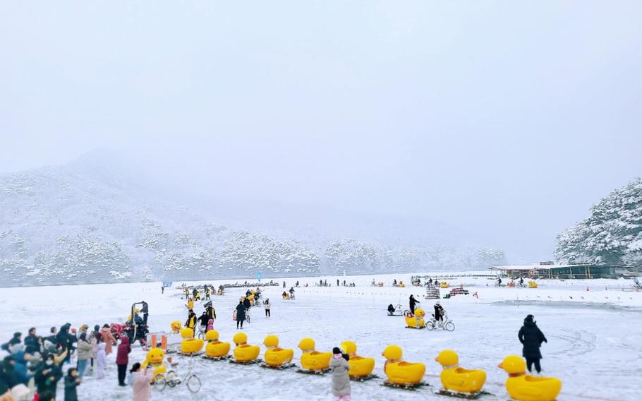 there are some duck-shaped snow sleds.