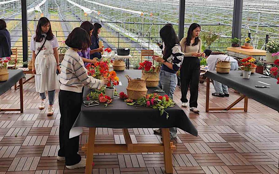 Participants enjoys flower displays.