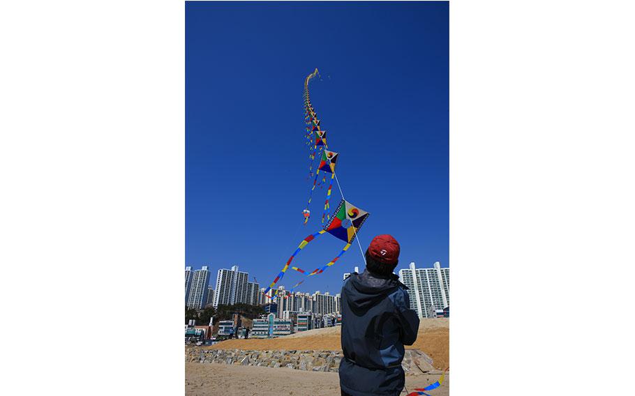 a man is flying a kite in the park. some buildings can be seen.