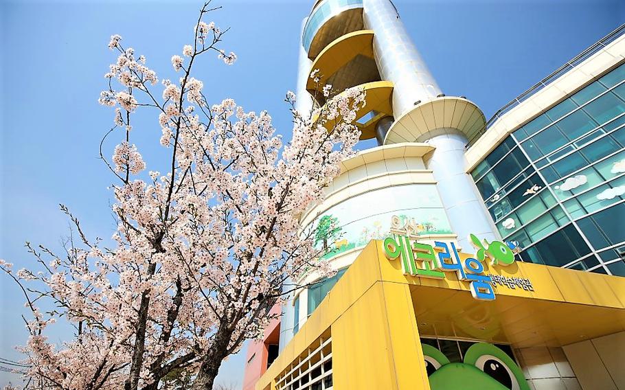 a facility and cherry blossoms in the park can be seen.