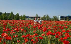 Two people pose in the poppy field.
