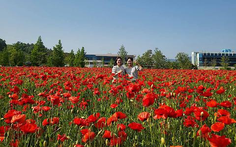 Photo Of Two people pose in the poppy field.