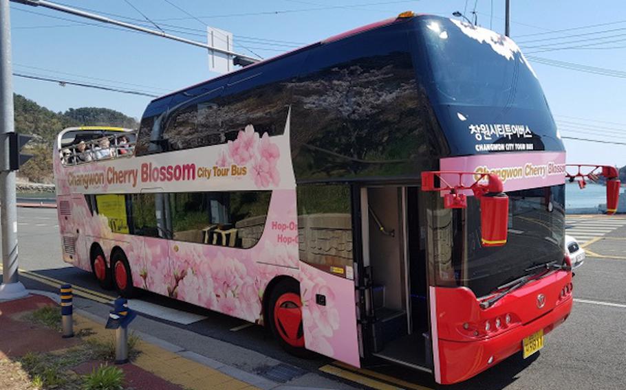 Cherry Blossom Tour Bus