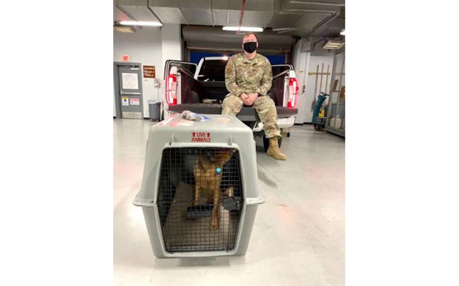 TSgt. Frank Padeway, 51st Force Support Squadron, transported pets to local animal shelter Homeward Bound Osan after a Patriot Express mission carrying 58 passengers and seven pets diverted to Osan Air Base on Aug. 18, 2021. The shelter fed and cared for the pets while the passengers were on the ground.
