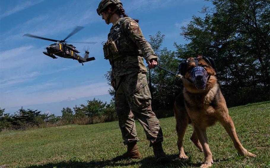 U.S. Air Force photo by Senior Airman Kevyn Allen