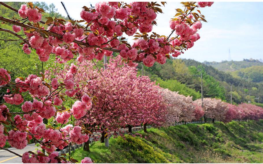 Image: Sancheong-gun