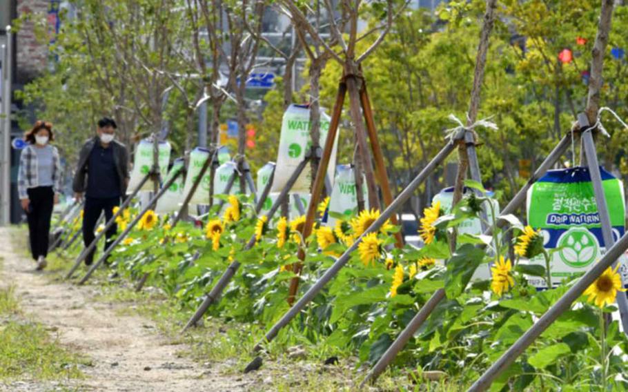 Image: City of Yangsan