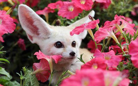 Photo Of animal at Nature Park