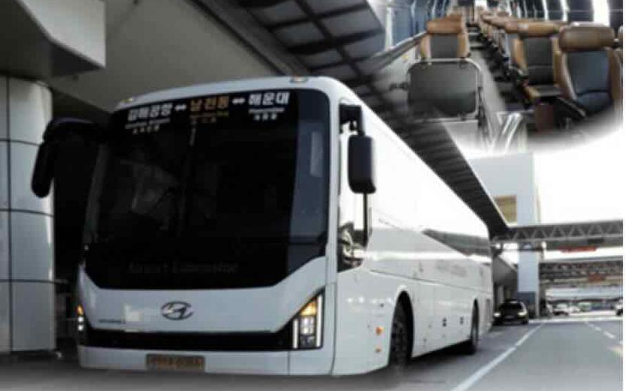 Airport Limousine Bus