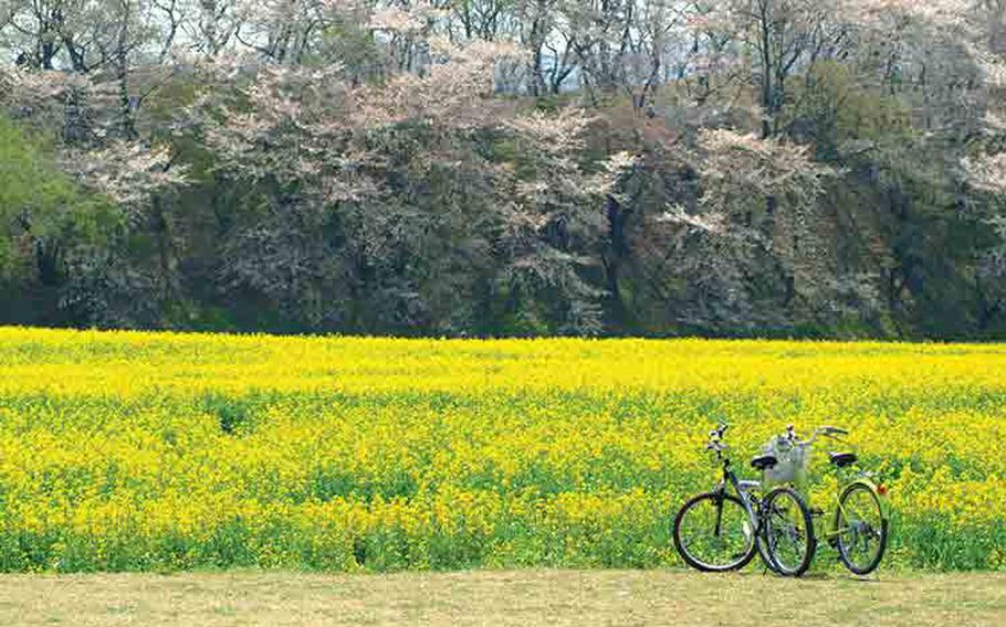 Bicycle in Banwolseong