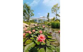 Seoul Botanic Park