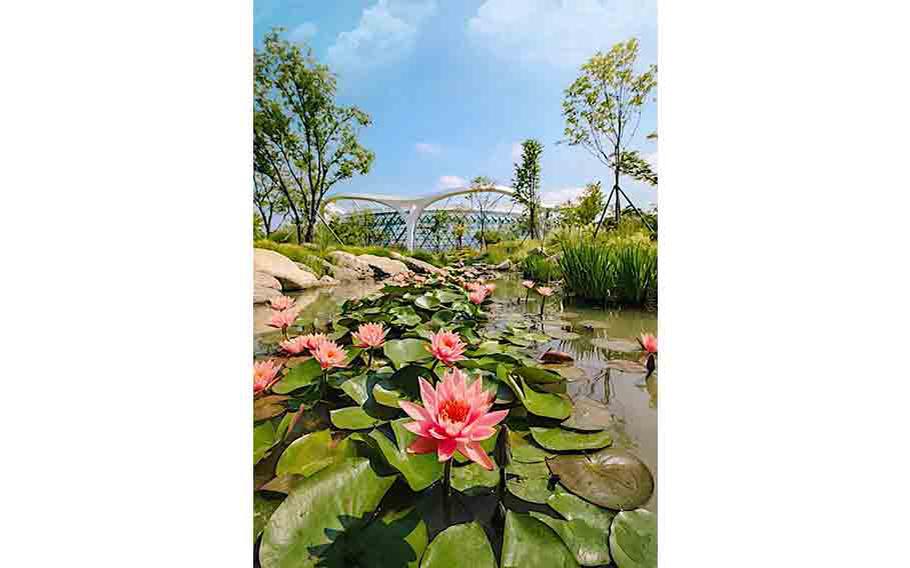 Seoul Botanic Park