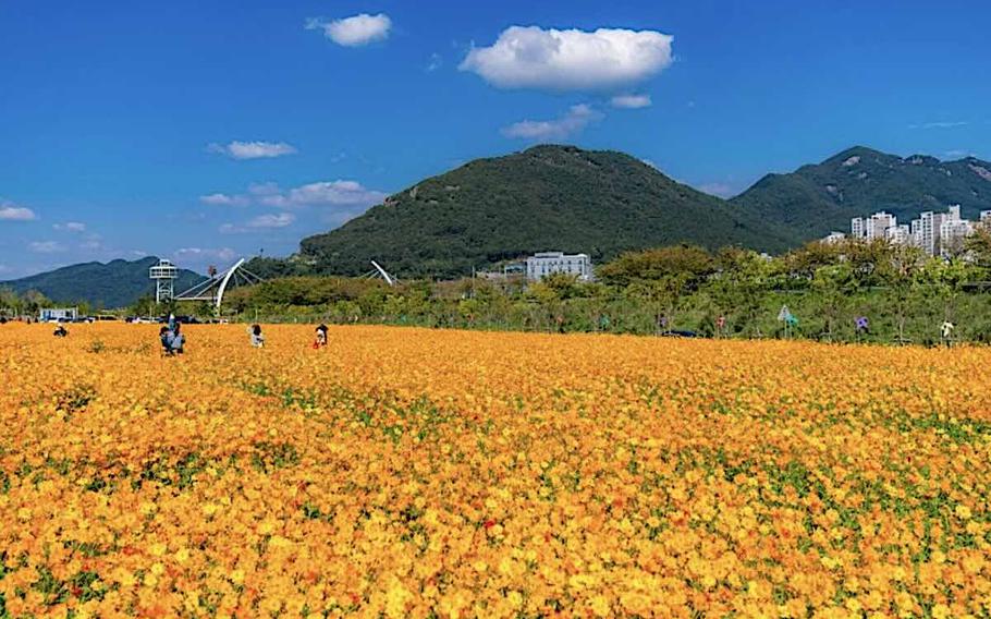 Hwangsan Park