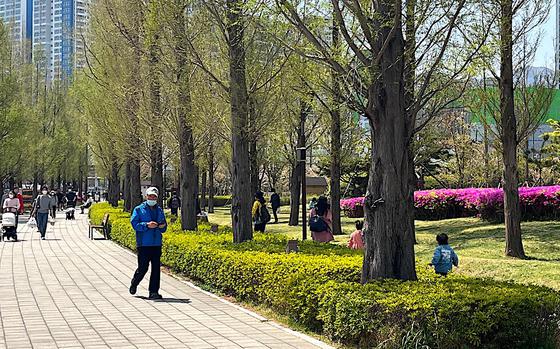 park in Korea