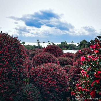 View from the arboretum’s observatory