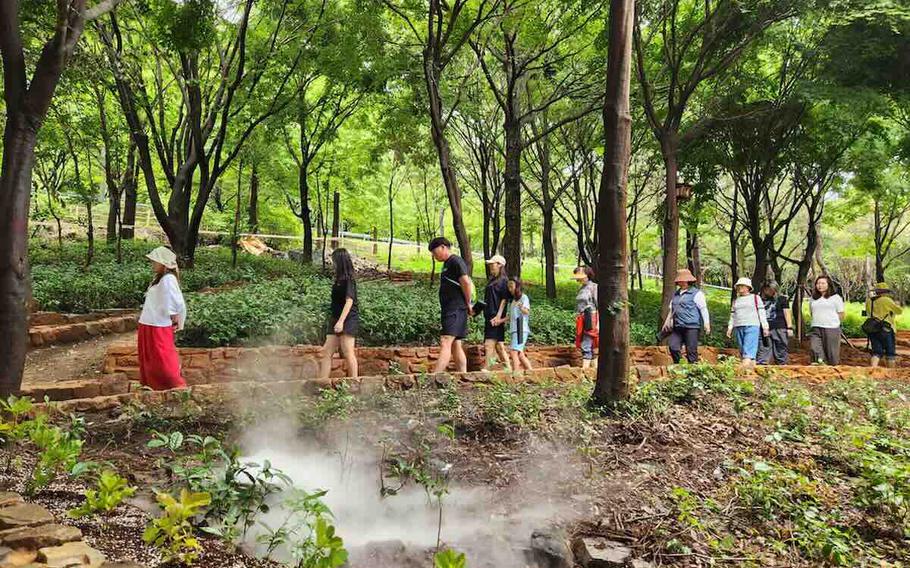 Jinjuseong and Wolasan Forest Selected as 2025 Open Tourist Attractions