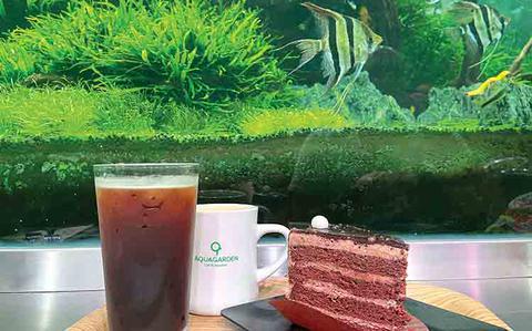 Photo Of Taste of Korea: Eat sweets with the fishies in Seoul’s Lotte World Mall