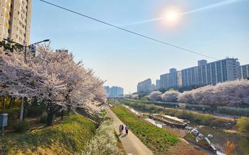 Tongbokcheon Stream