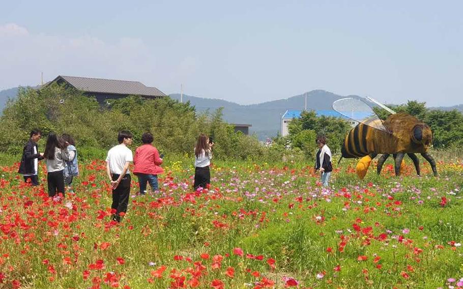 Image: Namhae-gun